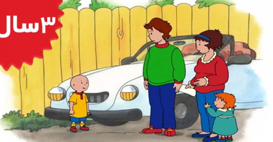 Caillou.Winter Mystery